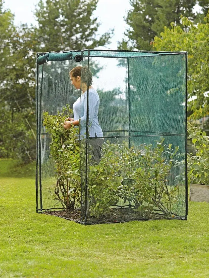 Gardener's Supply Company Crop Cage, 4' x 4'