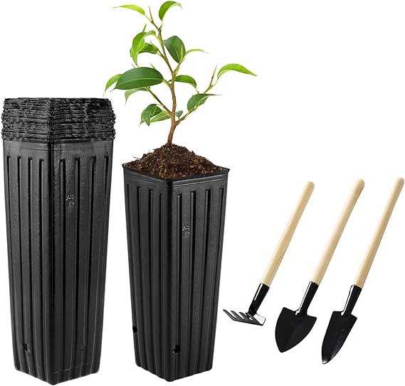 50 Pcs 12" Tall Tree Pots Plastic Deep Nursery Pots Tall Nursery Tree Pots Plant Deep Seedling Pots, Flower Plant Container Pots with 3 Pcs Garden Tools for Indoor Outdoor Use