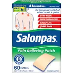 Salonpas Pain Relieving Patch - 60 Patches