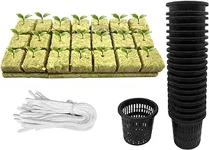 Iceyyyy 61pcs Hydroponics Mesh Net Cup Kit - 20 Packs 3 Inches Slotted Mesh Net Pot Cups, 21packs 1.7x1.7x1.7Inch Rockwool Starter Plugs, 20 Article