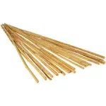 Natural Bamboo Stake (25-Pack) [Set of 2] Size: 3'