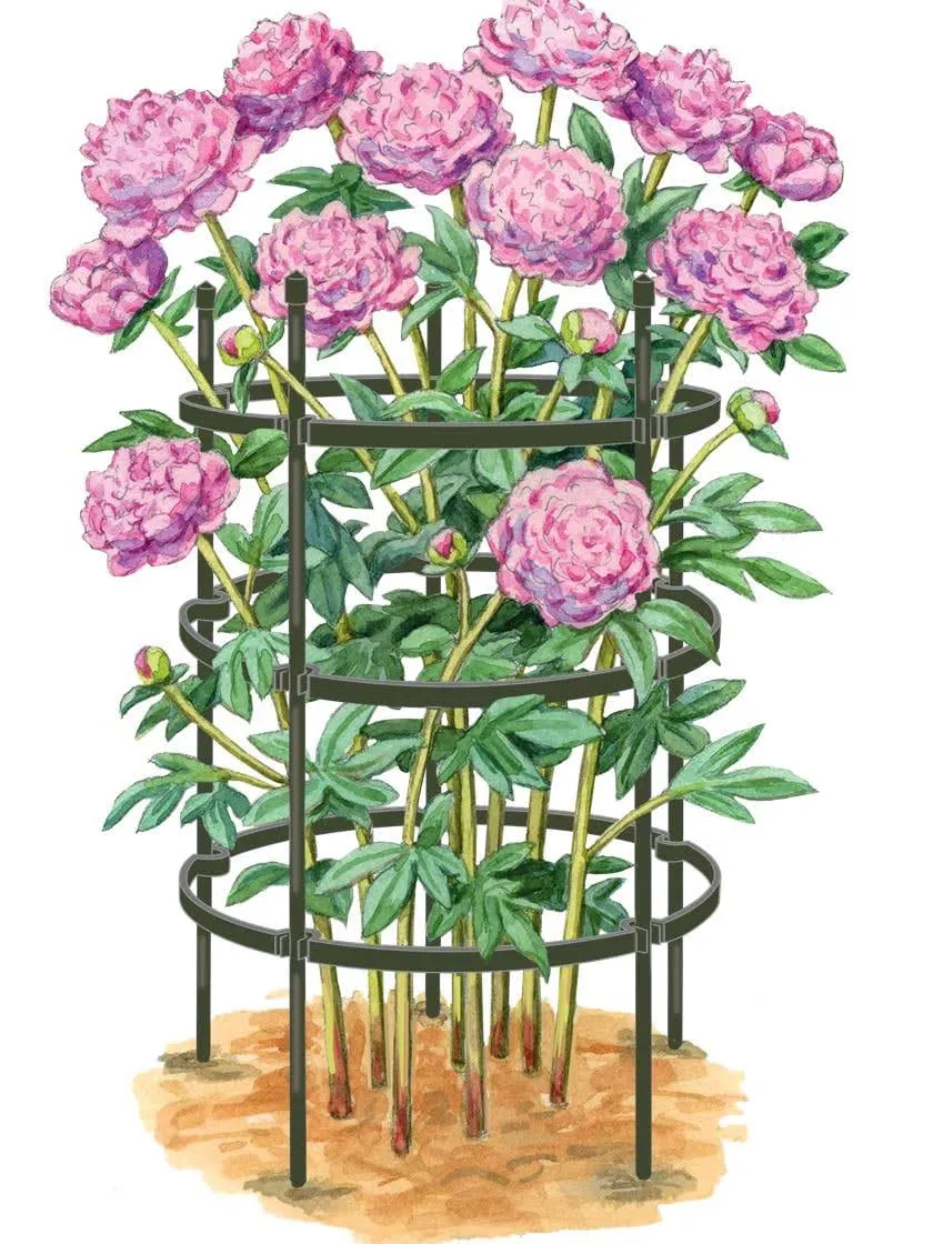 Gardener&s Supply Company Titan Peony Supports, Large, Set of 2