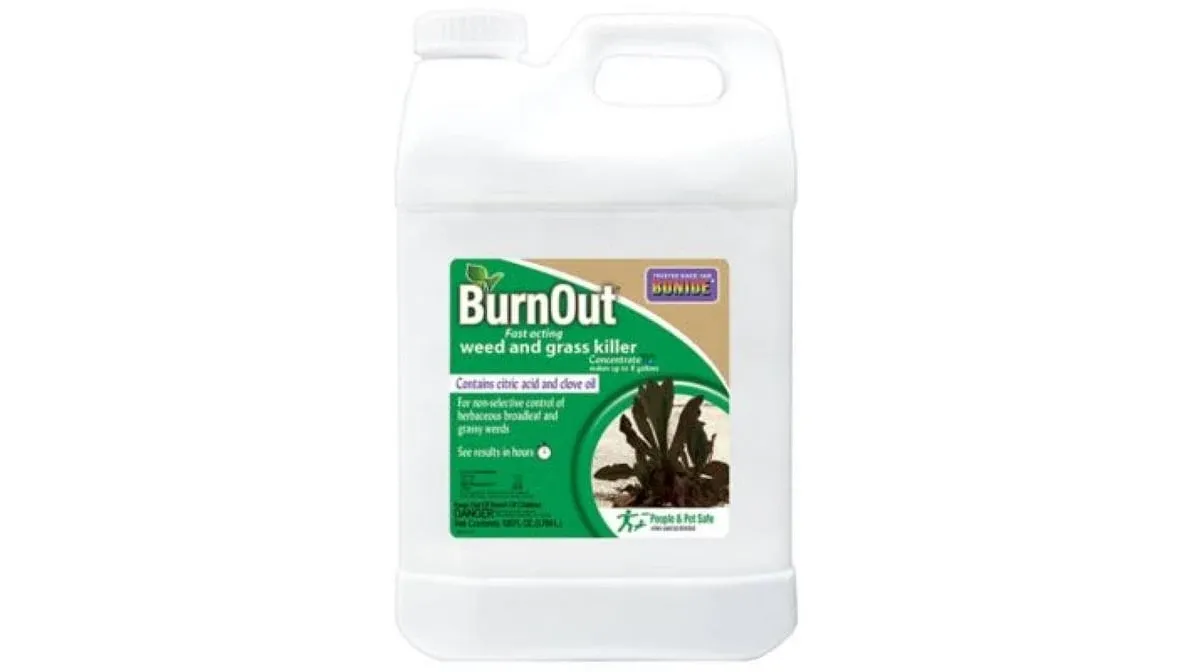 Bonide BurnOut Weed & Grass Killer