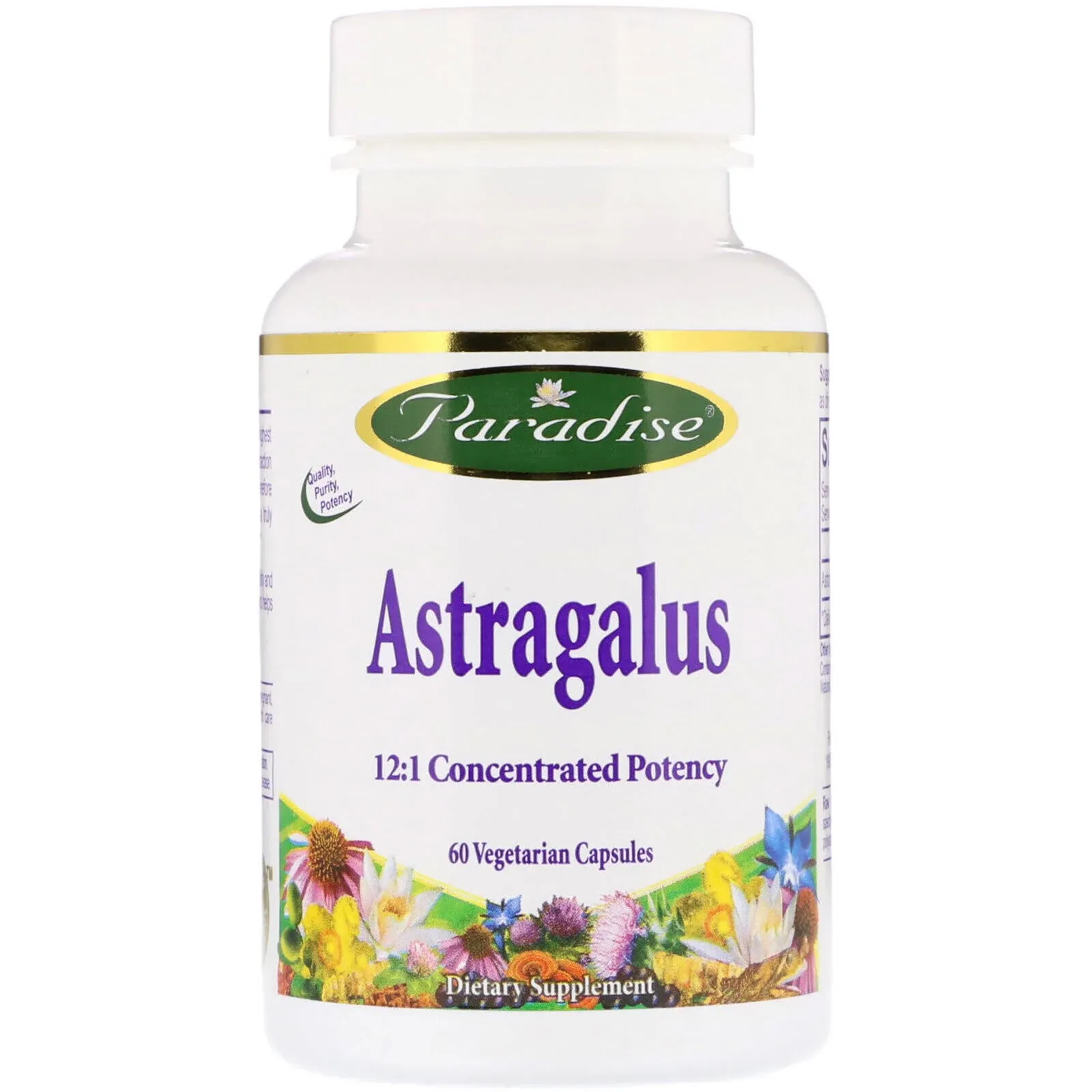 Paradise Herbs - Astragalus - 60 Vegetarian Capsules