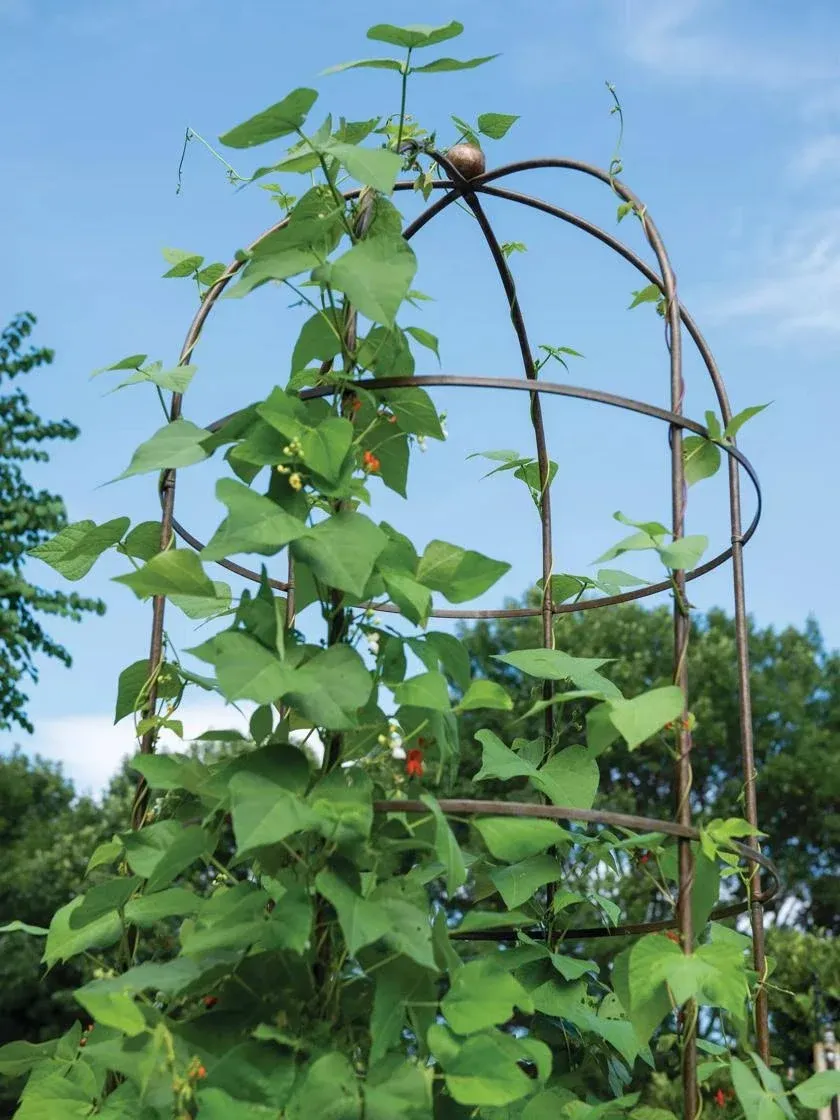 Gardeners Supply Company Jardin Tower | 8 Foot Tall Powder-Coated Steel Towering Plant Support | Heavy-Duty Weather-Proof Garden Trellis for Climbing Plants, Vegetables and Flowers