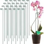 GROWNEER 24 Packs 36 Inches Garden Flower Support Plant Support Stakes, with 15 Pcs Plant Labels, Single Plant Stem Flower Support for Flowers, Orchid, Peony, Lily, Rose