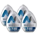 Mio Blueberry Lemonade Liquid Water Enhancer