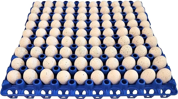 12 RITE FARM PRODUCTS 90 EGG PLASTIC TRAYS QUAIL PIGEON DOVE BIRD FLAT CARTON