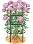 Gardener's Supply Company - Titan Peony Plant Support Stakes - Made with Durable Metal Core and Polyethylene Frame to withstand Weight and Protection from Wild Animals - Large Peony Cage - Set of 2