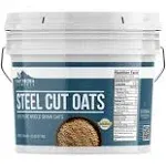 Steel Cut Oats, 1 Gallon Bucket by Earthborn Elements, Also Called Irish Oatmeal, Breakfast, Resealable Bucket