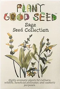 Sage Seed Collection, Size: Five Packets: Black, Clary, Garden, Purple, White