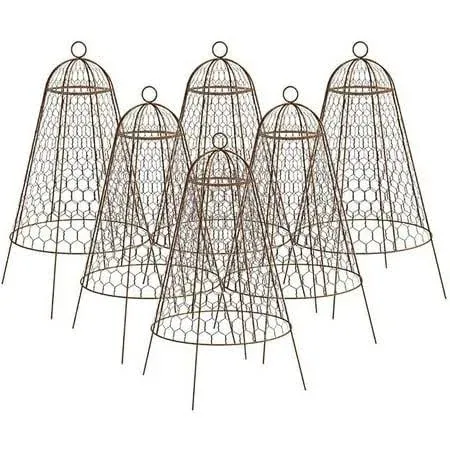 Set of Six Panacea 83280 Rustic Wire Garden Cloches, 20" H Each