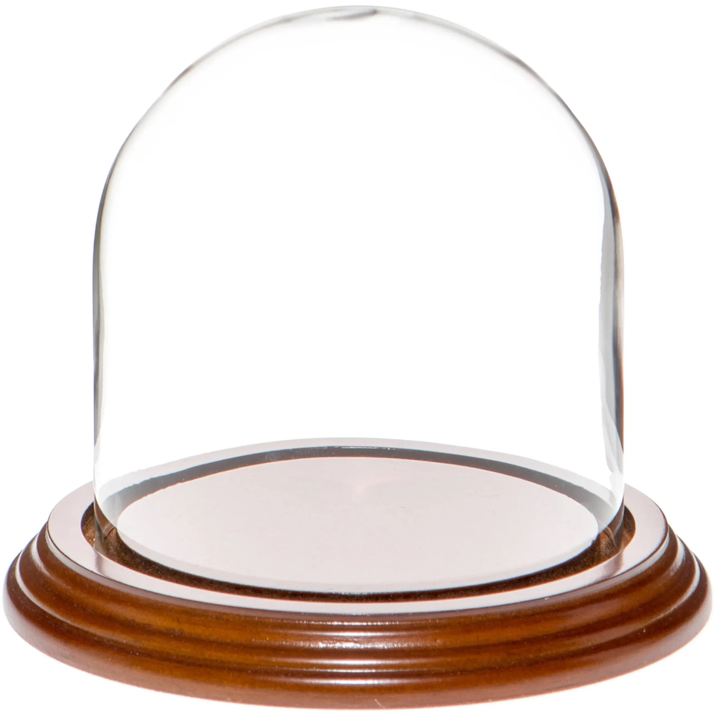 Plymor 4" x 4" Glass Display Dome Cloche (Walnut Veneer Base)