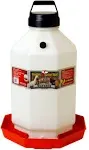 Little Giant - Plastic Poultry Waterer - 7 Gal