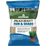 Jonathan Green Black Beauty Sun Shade Grass Seed