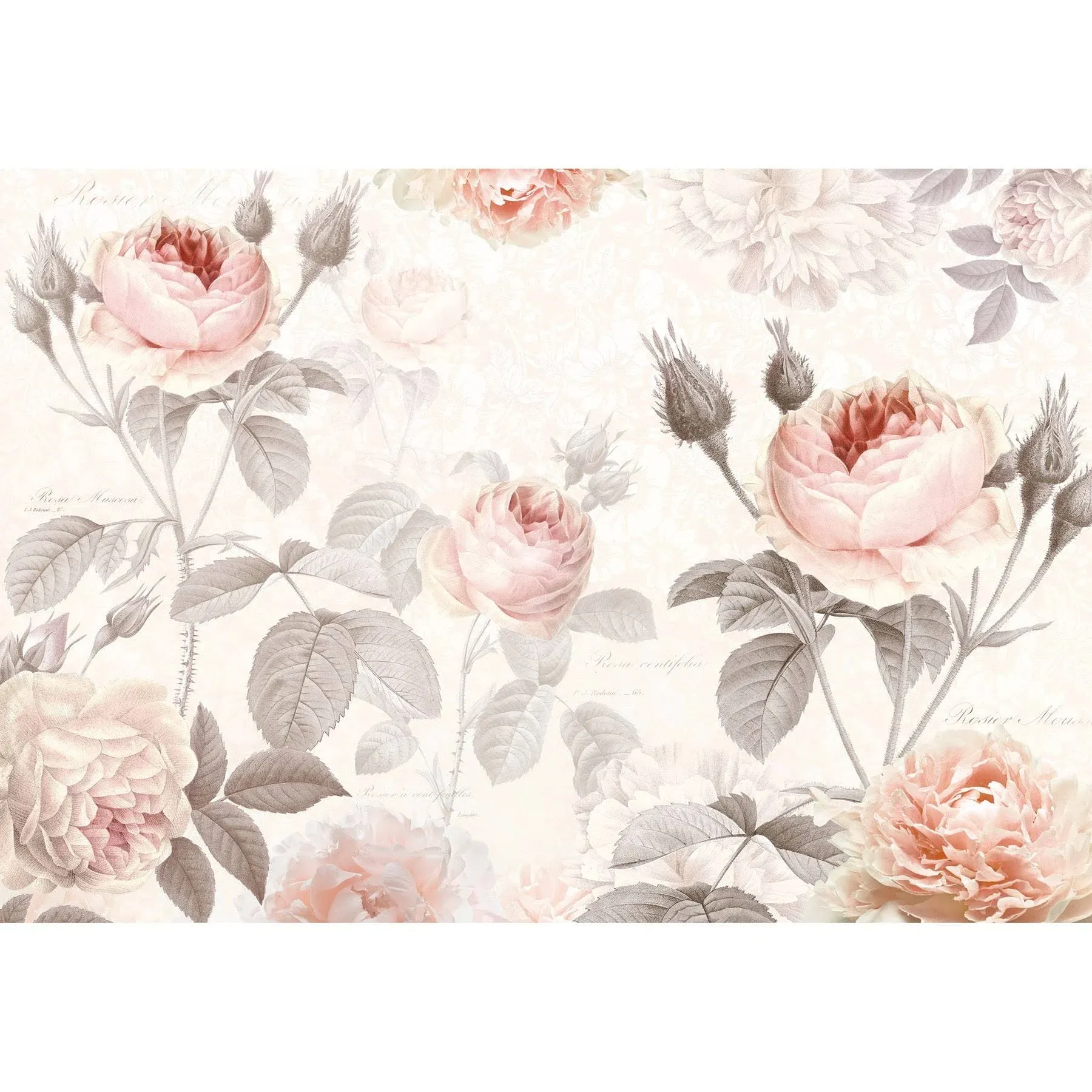 Brewster Home Fashions La Maison Wall Mural