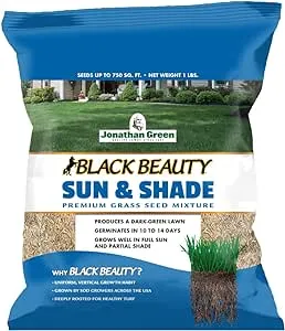 Jonathan Green Black Beauty Sun & Shade Grass Seed