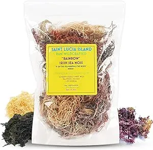 Multi Color Full Spectrum Irish Sea Moss | Dr. Sebi Inspired | Gold – Green – Purple Sea Moss | Make 120+ oz Sea Moss Gel | Sun-Dried Sea Moss from