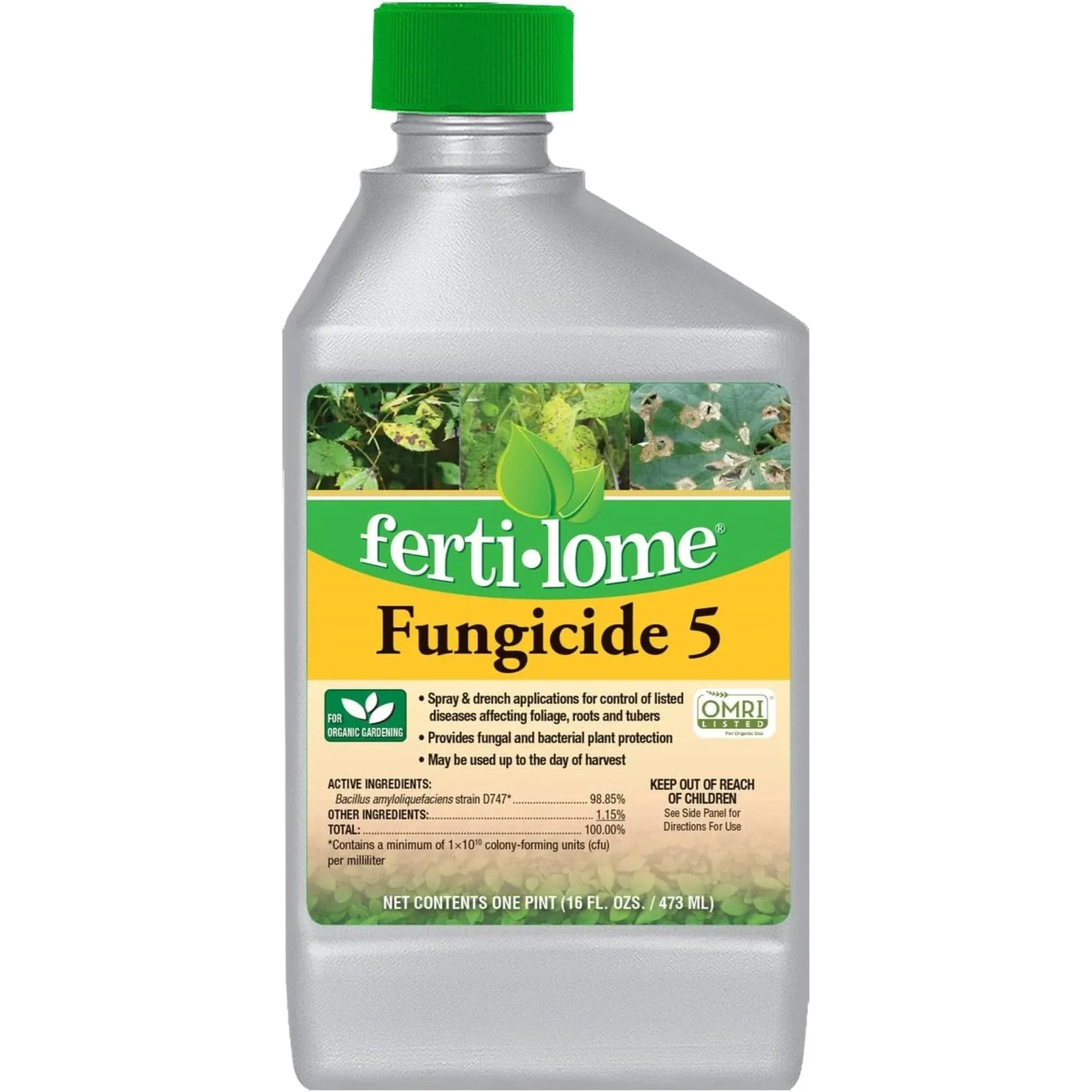 Fertilome Fungicide 5 Spray Concentrate