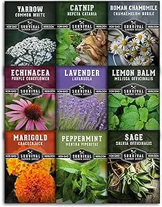 Medicinal Tea Herb Seeds Collection