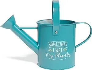 Barnyard Designs Galvanized Metal Small Watering Can Indoor Plants Mini Watering Can for Outdoor Plants Indoor Plant Watering Can, Small Watering