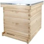 POLLIBEE Beehive 8 Frame Bee Hive Starter Kit, Bee Hives Include 1 Deep Brood Bee Box and 1 Medium Hive Box with Bee Frames and Waxed Beehive Foundation, Complete Bee Hive for Beginner