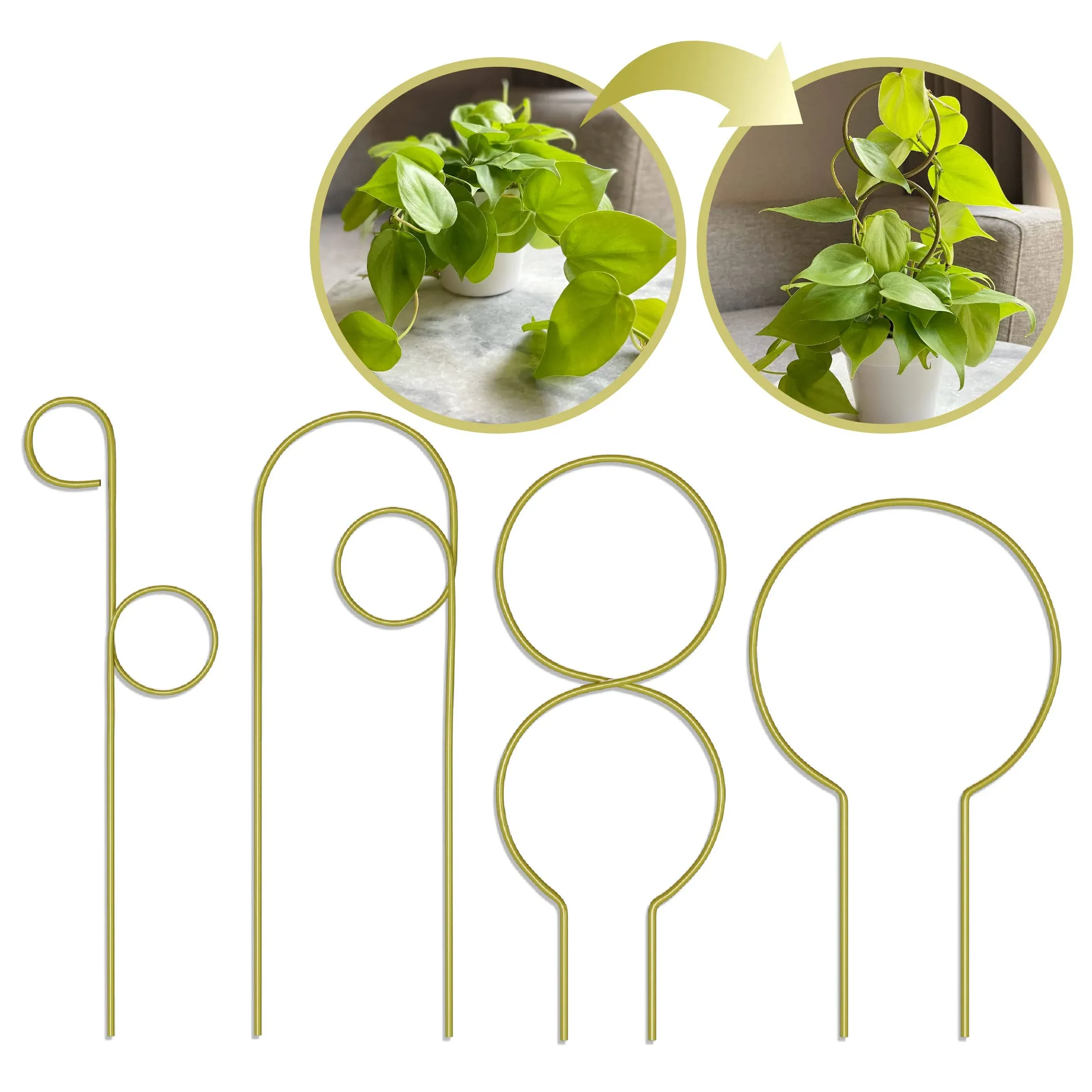 Small Metal Trellis for Indoor Plants Metal Plant Stake for Climbing House Plants Plant Support for Potted Plants Orchids, Monstera, Pothos, Ivy, Hoya, Philodendron Set of 4 (Brushed Gold)