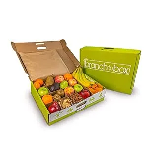 A Gift Inside Branch to Box Medium Fruit & Snack Box