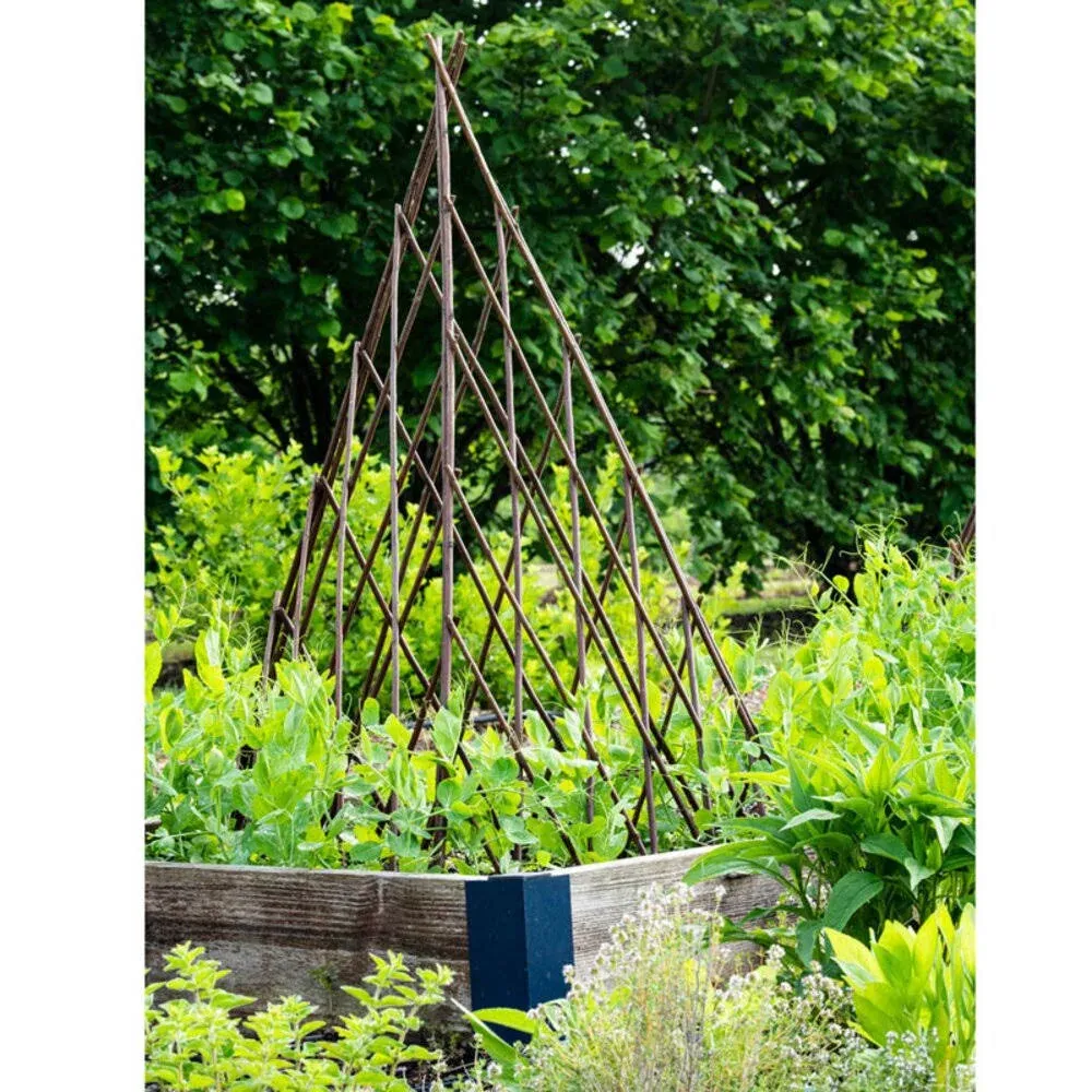 Master Garden Products Willow Expandable Teepee, 14 by 60-Inch,Brown