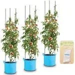 LEBOO 3-Pack(48inch) Vegetable Trellis Tomato Cages Plant Supports, Adjustable G