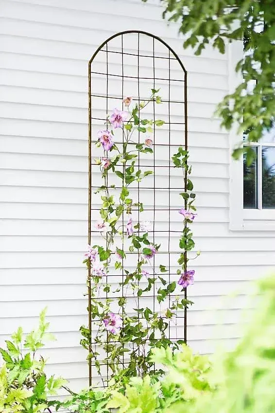 Jardin Flower Trellis