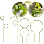 Small Metal Trellis for Indoor Plants Metal Plant Stake for Climbing House Plants Plant Support for Potted Plants Orchids, Monstera, Pothos, Ivy, Hoya, Philodendron Set of 4 (Brushed Gold)