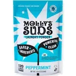 Molly's Suds, Original Laundry Powder, Citrus Grove