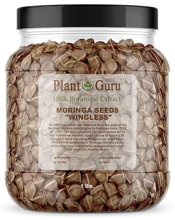 Moringa Seeds | 1 lb Wide Mouth Jar, Edible Snacking, Non-GMO