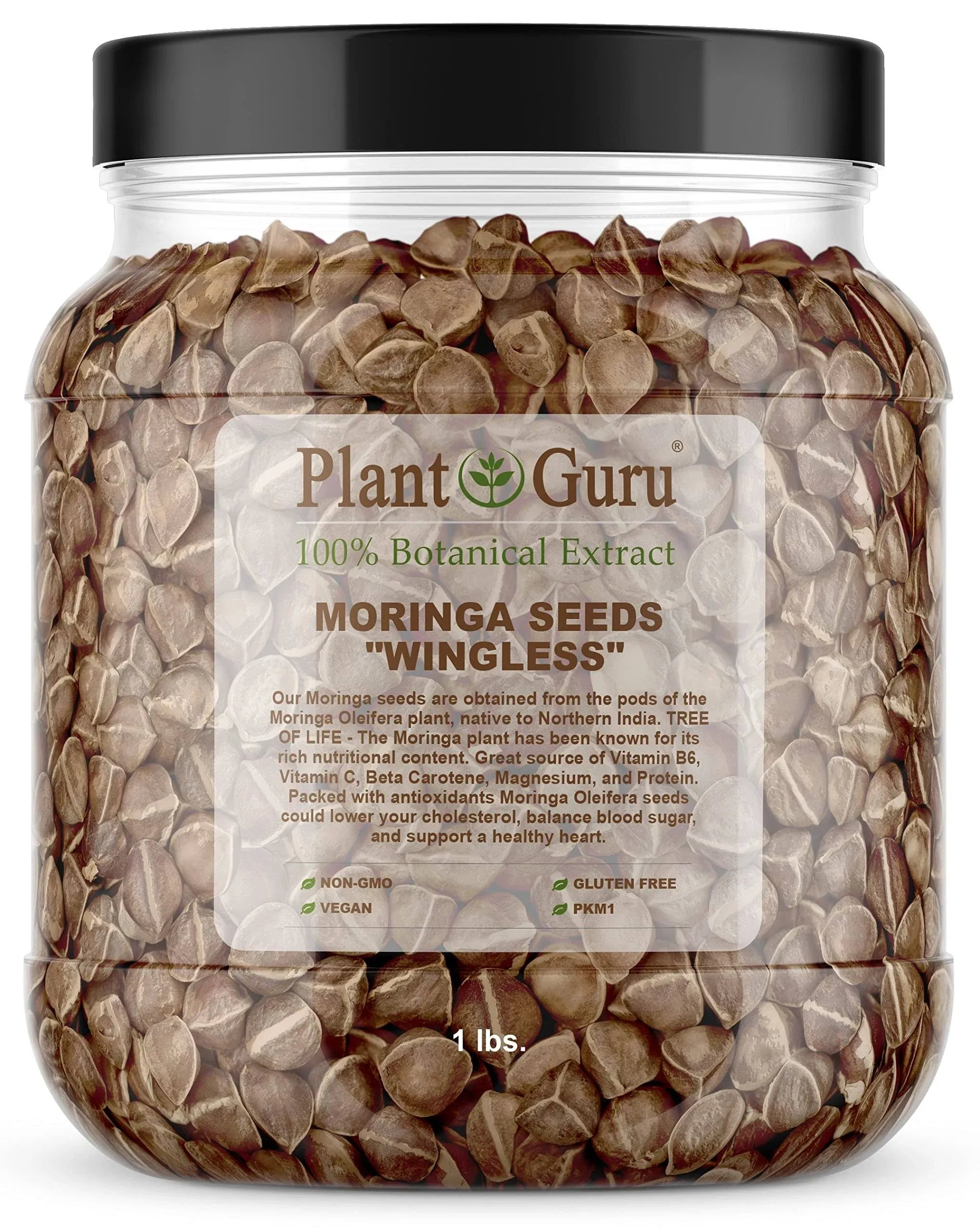 Plant Guru Moringa Wingless Plant Seeds