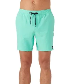 O'Neill Men's Lennox Hermosa Solid Volley 17" Boardshorts