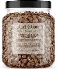 Moringa Seeds Wingless 1 lb. Wide Mouth JAR Pkm1 Variety