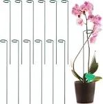 GROWNEER 24 Packs 36 Inches Garden Flower Support Plant Support Stakes, with 15 Pcs Plant Labels, Single Plant Stem Flower Support for Flowers, Orchid, Peony, Lily, Rose