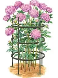 Gardener's Supply Company Titan Peony Plant Support Stakes