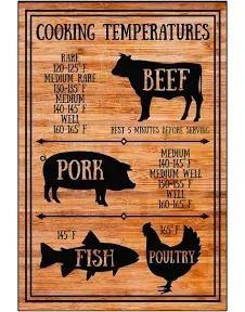 Meat Internal Cooking Temperatures Magnet Sign Measurement Kitchen Conversion Magnet Sign