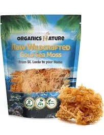 Organics Nature Raw Wildcrafted Sea Moss | Organic Wildcrafted & Non-GMO Certified | Dr Sebi Approved | Make 5 Jars of Sea Moss Gel | Immune Support, Energy &e Essential Minerals & Vitamins 4 oz