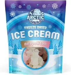 Arctic Farms Freeze Dried Ice Cream That Does Not Melt