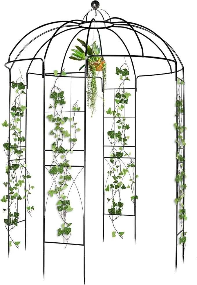 Birdcage Shape Metal Garden Arbor