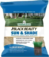 Black Beauty Sun & Shade Grass Seed Mixture, 3 Lbs.