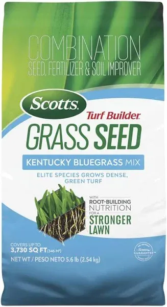 Scotts Turf Builder Kentucky Bluegrass Sun or Shade Fertilizer/Seed/Soil Improver 2.4 lb