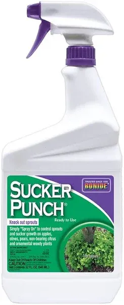 Bonide Sucker Punch Ready-to-Use 8 oz.