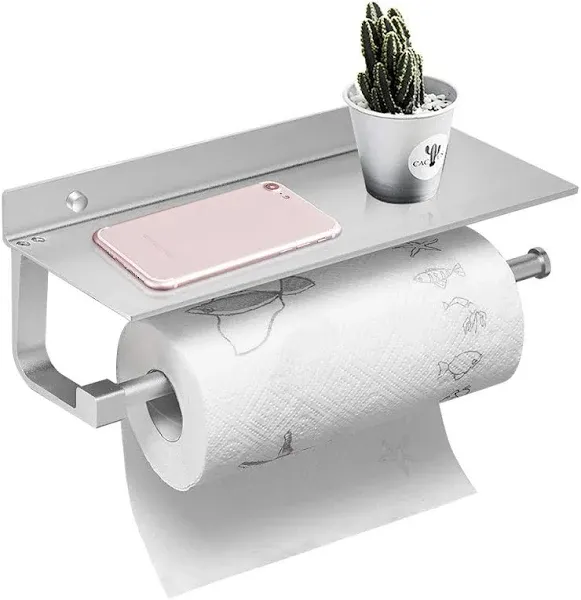 BESy Wall Mounted Paper Towel Holder