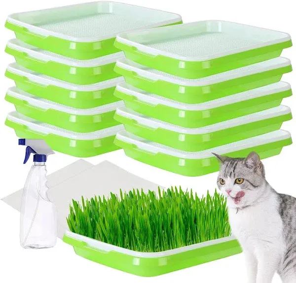 NATGAI 10 Pack Seed Sprouter Tray Green Seed Sprouter Trays Germination Tray BPA Free Nursery Tray for Planting Great for Garden Home Office