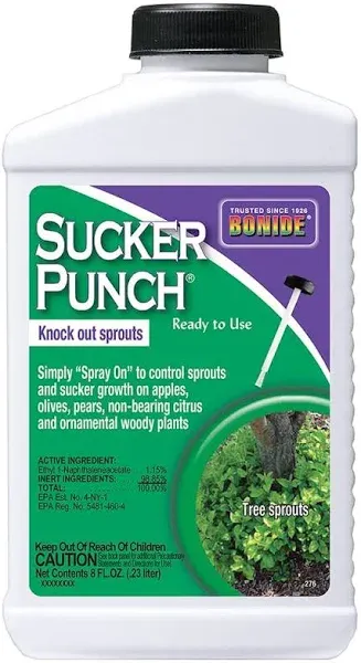 BONIDE PRODUCTS BND276 Ready to Use Punch Stop Suckers Sprouting from Roots and