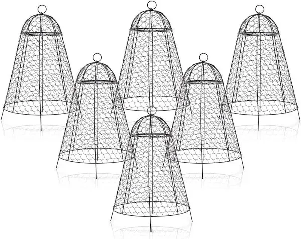 boldworks Garden Cloches for Plants Chicken Wire Cages to Protect from Animals Outdoor Extra Large Rustproof Thicker and Finer Mesh 12" x 20" Pack of 6